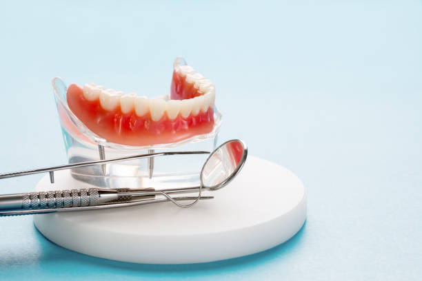 Best Traditional Braces  in Grand Haven, MI